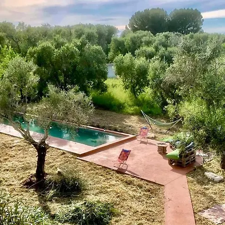 Casa E Trullo 57 Oliviers *
