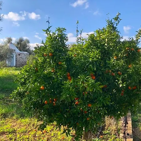 Βίλα Casa E Trullo 57 Oliviers *