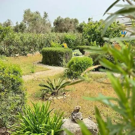 Casa E Trullo 57 Oliviers Βίλα