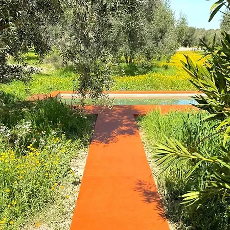 Villa Casa E Trullo 57 Oliviers Carovigno