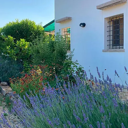 Casa E Trullo 57 Oliviers Carovigno
