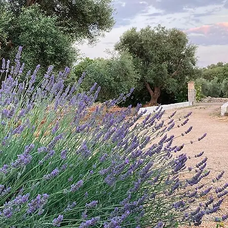 Βίλα Casa E Trullo 57 Oliviers Carovigno